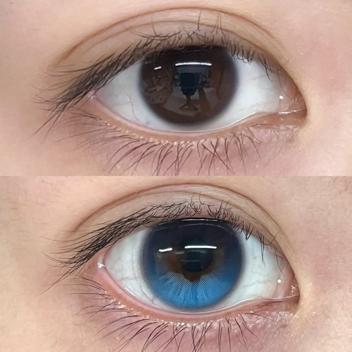 MYEYEBB Moonstone Blue Colored Contact Lenses | 1 Day-10 Pcs - image 2
