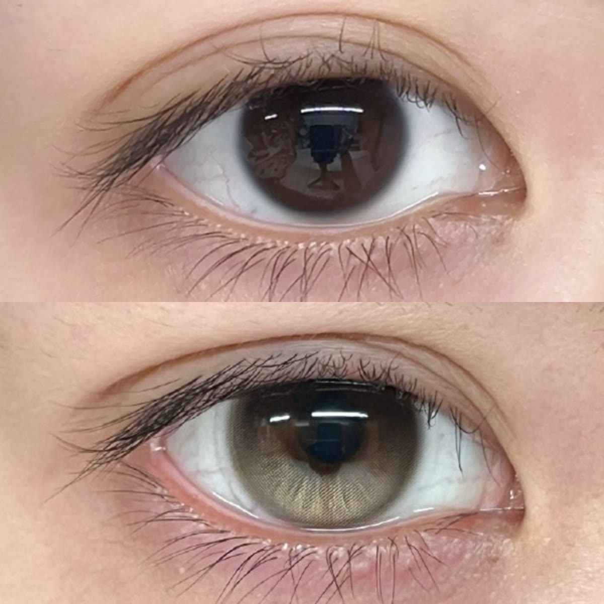 MYEYEBB Moonstone Amber Colored Contact Lenses | 1 Day-10 Pcs - image 2