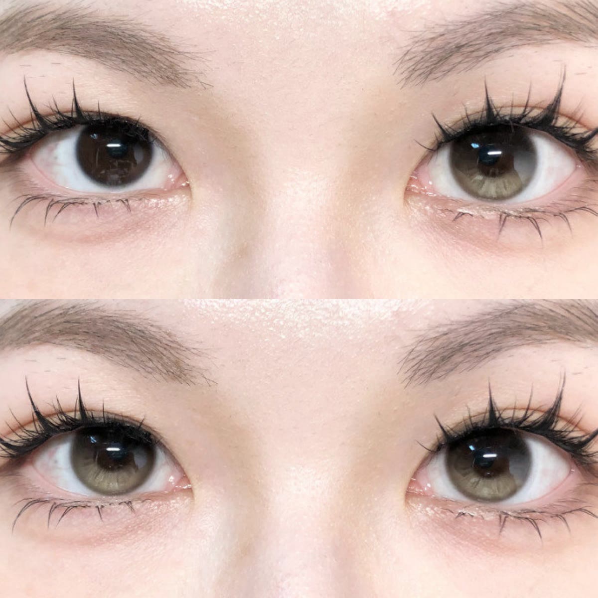MYEYEBB Moonstone Amber Colored Contact Lenses | 1 Day-10 Pcs - image 4