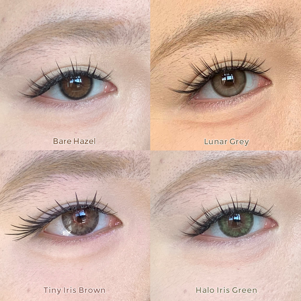 MYEYEBB Best Sellers & Natural Eye Color 4-Pair Colored Contact Lenses Set - image 2