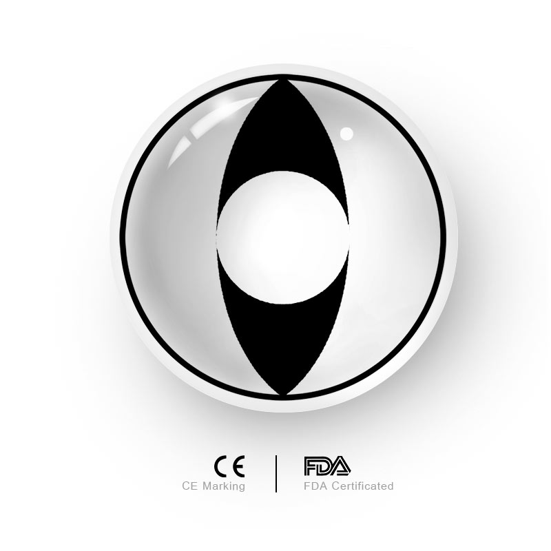 MYEYEBB Cat Eyes Collection - image 3