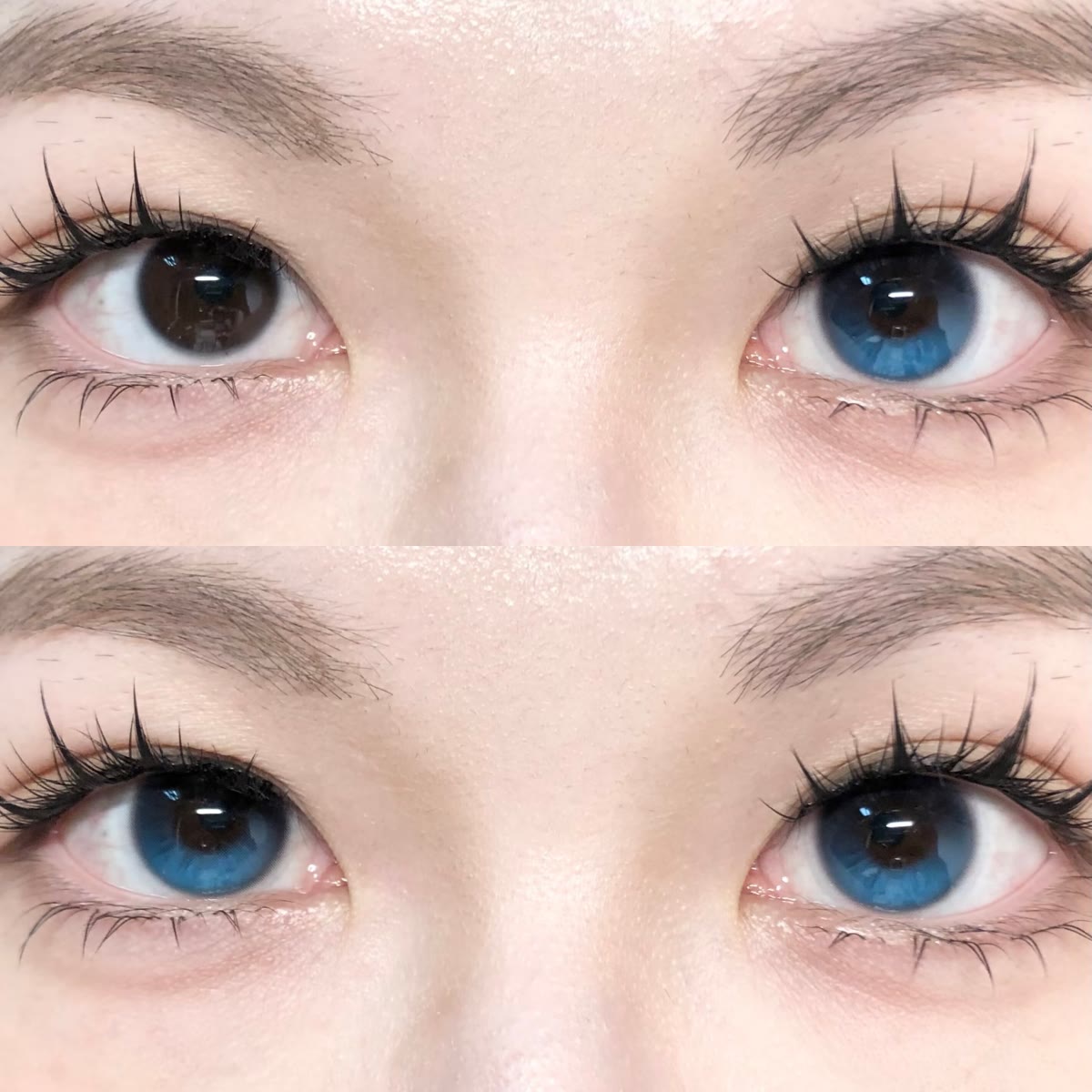 MYEYEBB Moonstone Blue Colored Contact Lenses | 1 Day-10 Pcs - image 5