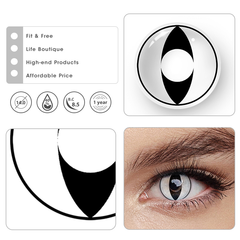MYEYEBB Cat Eyes Collection - image 16