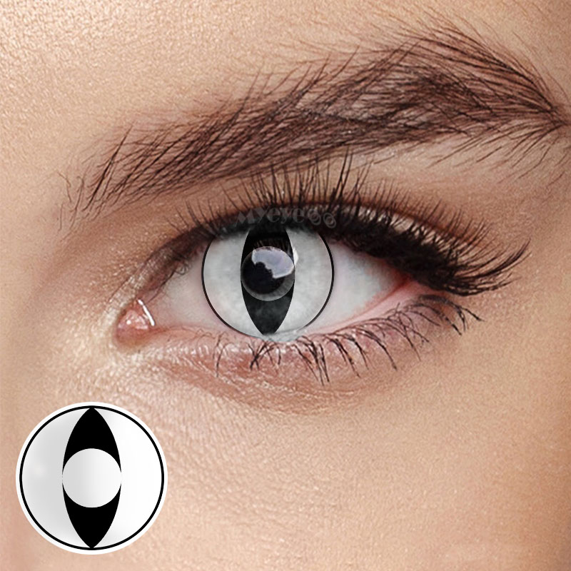 MYEYEBB Cat Eyes Collection - image 4