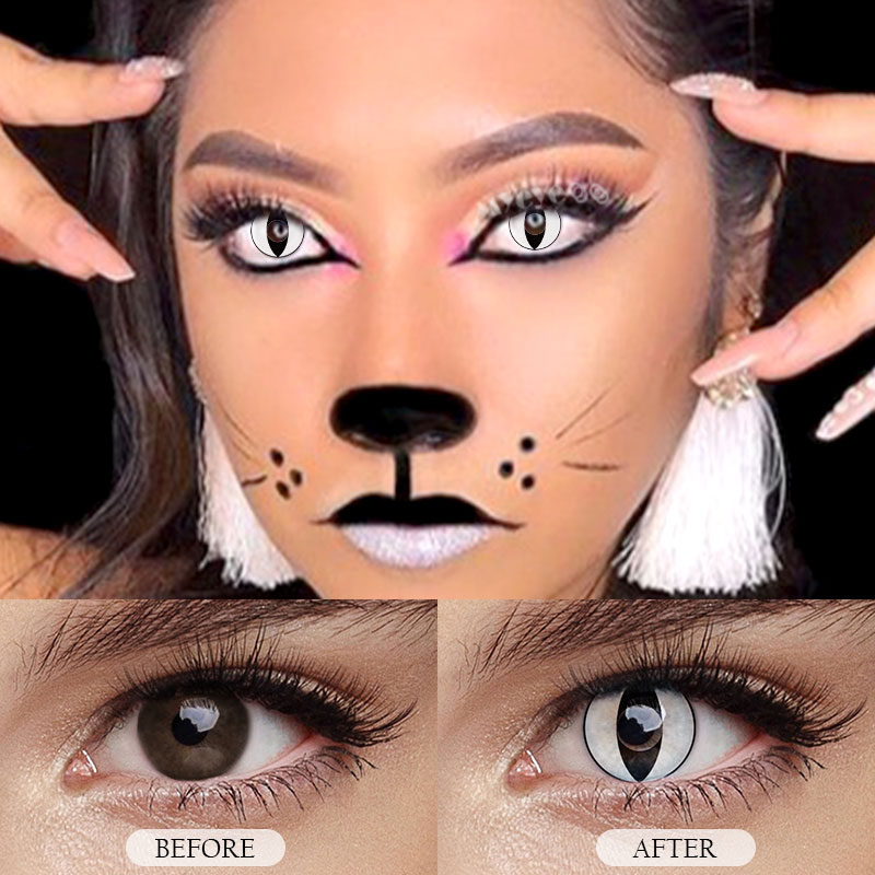 MYEYEBB Cat Eyes Collection - image 15