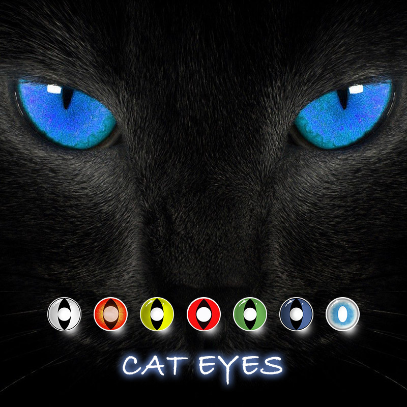 MYEYEBB Cat Eyes Collection - White Cat Eye - -8.00 - RY19_WH Cat Eye - image 1