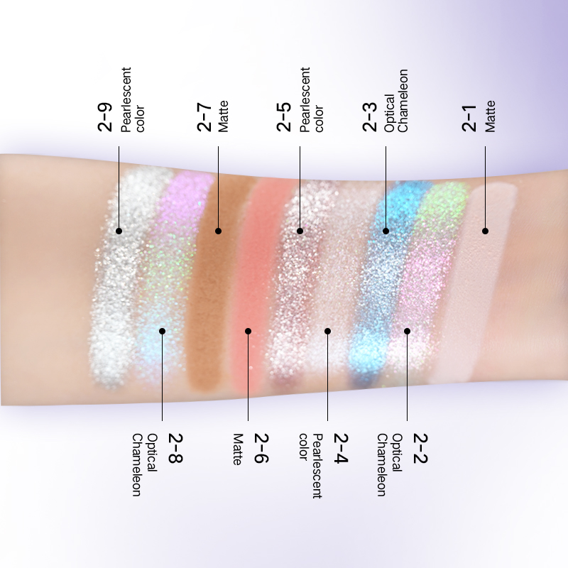 Chameleon Customizable All-in-One Palette (Blush, Highlighter, Contour & Eyeshadow