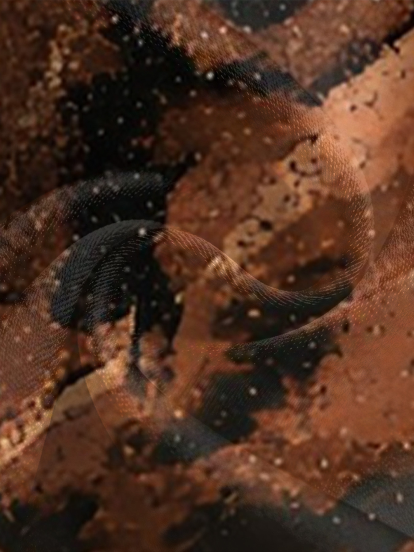 Patchwork Tiger & Camo Long Sleeve Zip-Up Jumpsuit 