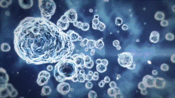 COD单页系统建站,联系QQ:494906791/微信:Cod_web