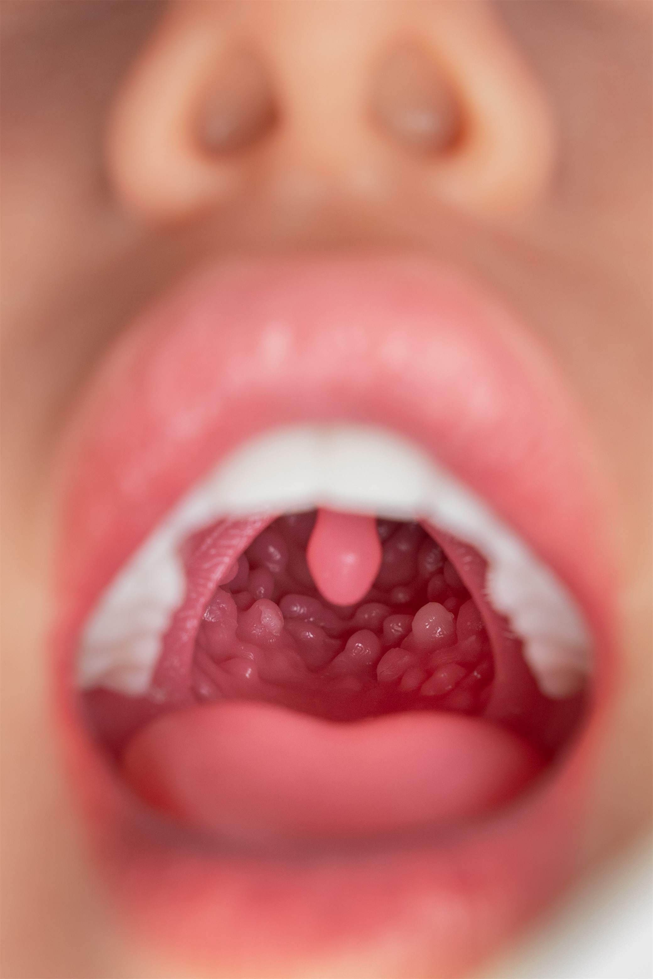 FANREAL Doll丨ROS Head and Hard Silicone Head (Extra Doll Heads)