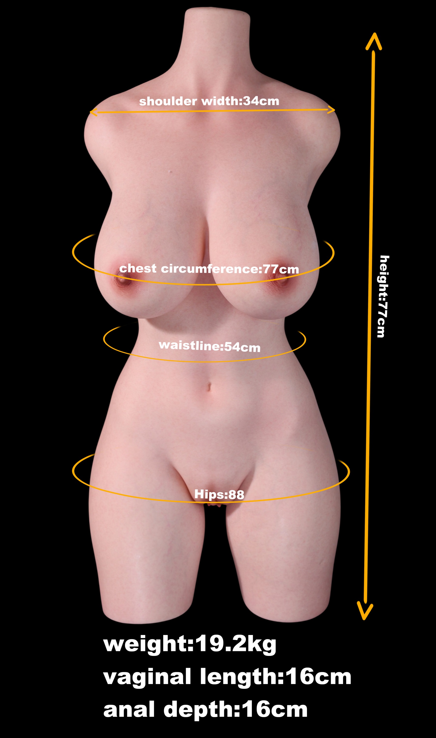 Arcana | 3ft 4/102cm 42.3LB Curvy Silicone Sex Torso For Men, ROS Head M50 Eileen