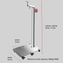 Iron plate base