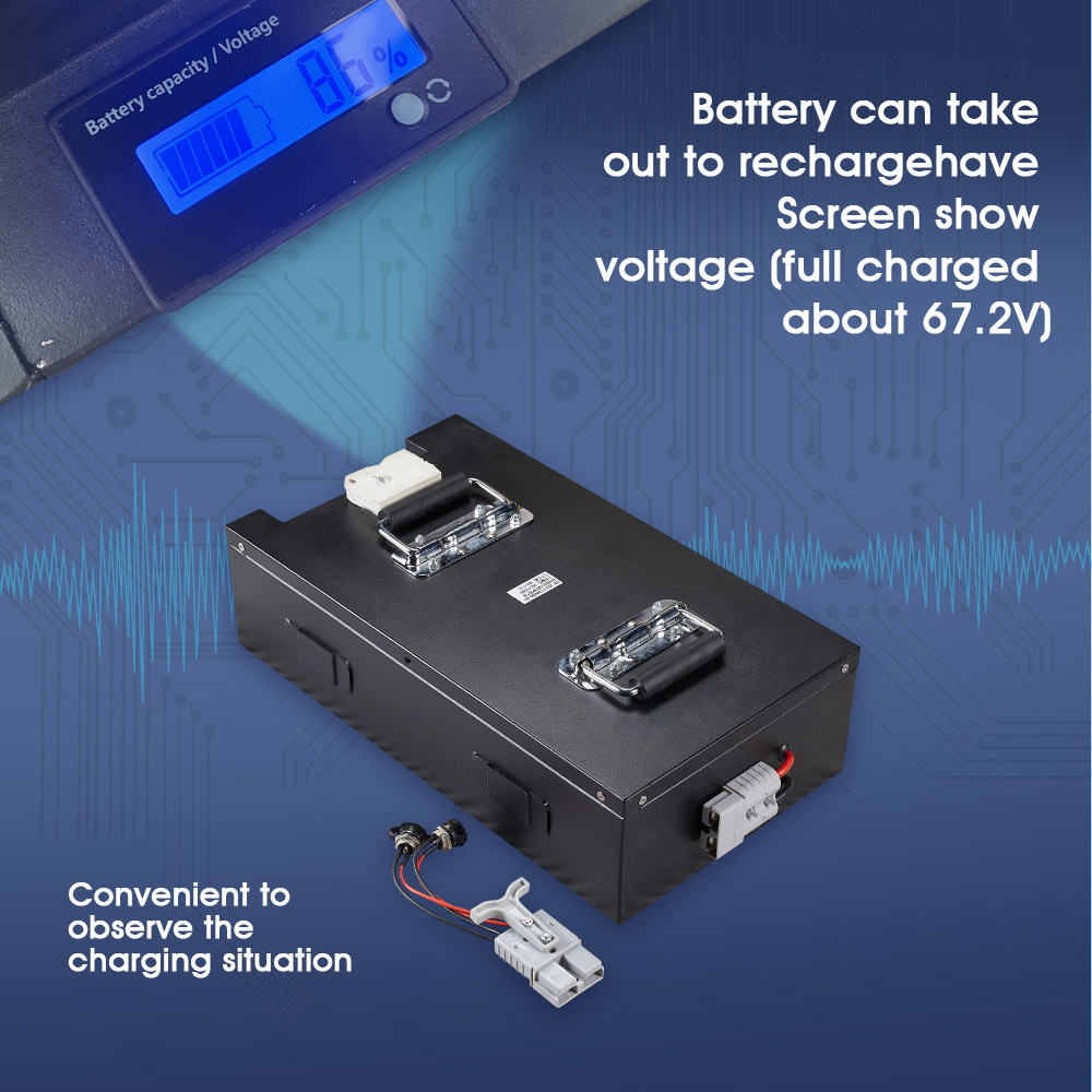 Removeable Battery 60V 50ah 80ah for FLJ X14 10000W Fat Tire Electric Scooter E Bike Battery