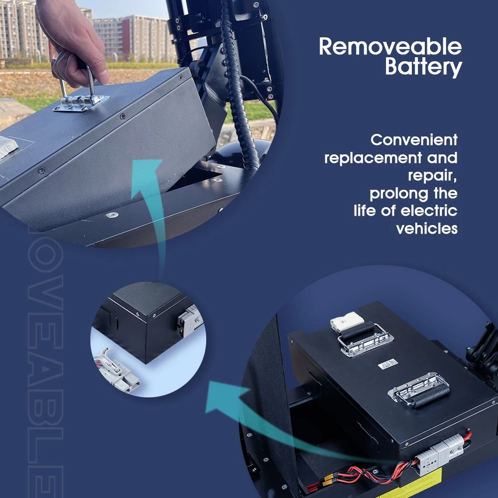 Removeable Battery 60V 50ah 80ah for FLJ X14 10000W Fat Tire Electric Scooter E Bike Battery