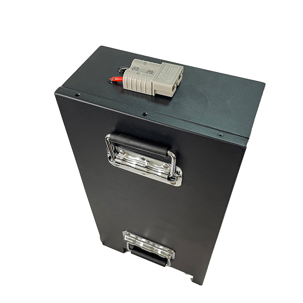 Removeable Battery 60V 50ah 80ah for FLJ X14 10000W Fat Tire Electric Scooter E Bike Battery