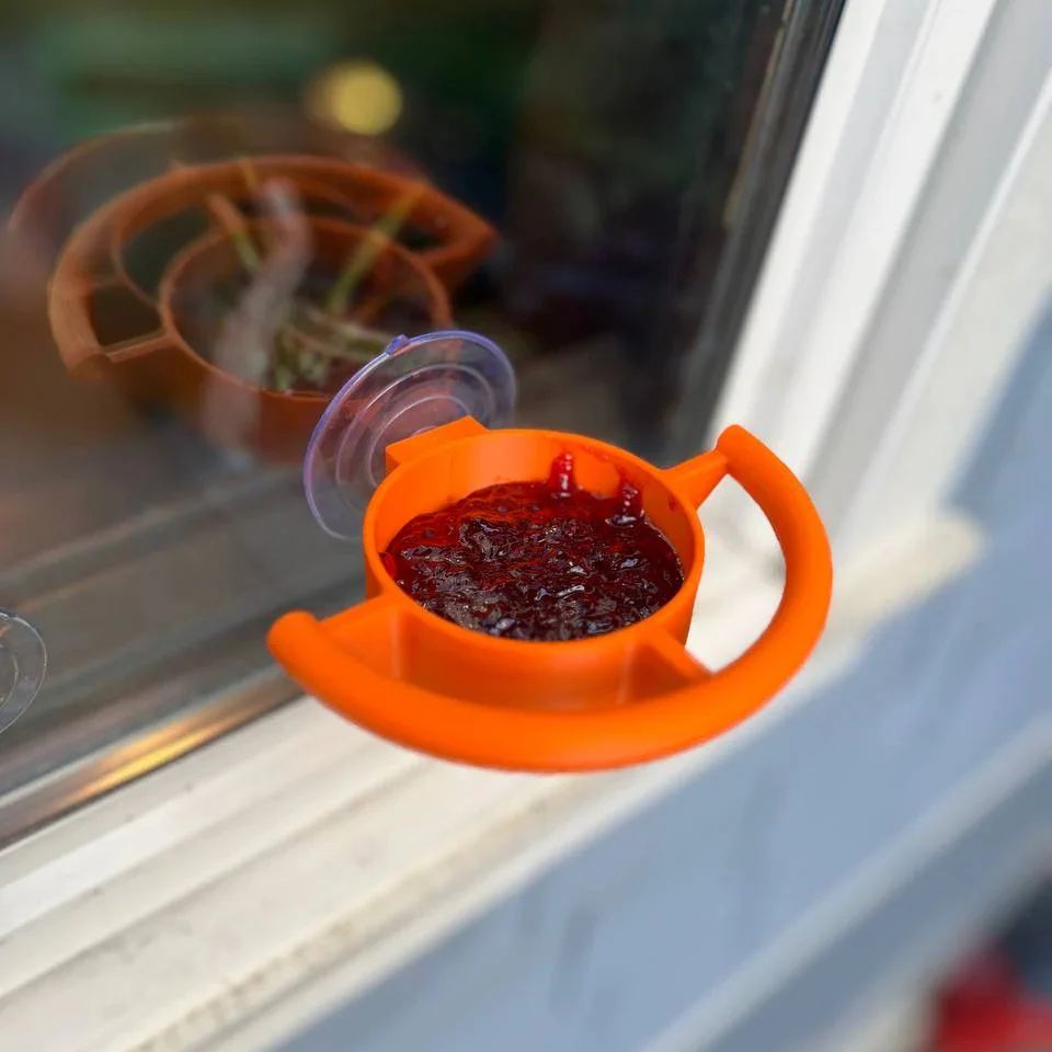 Bird Feeder Suction Cup Holder