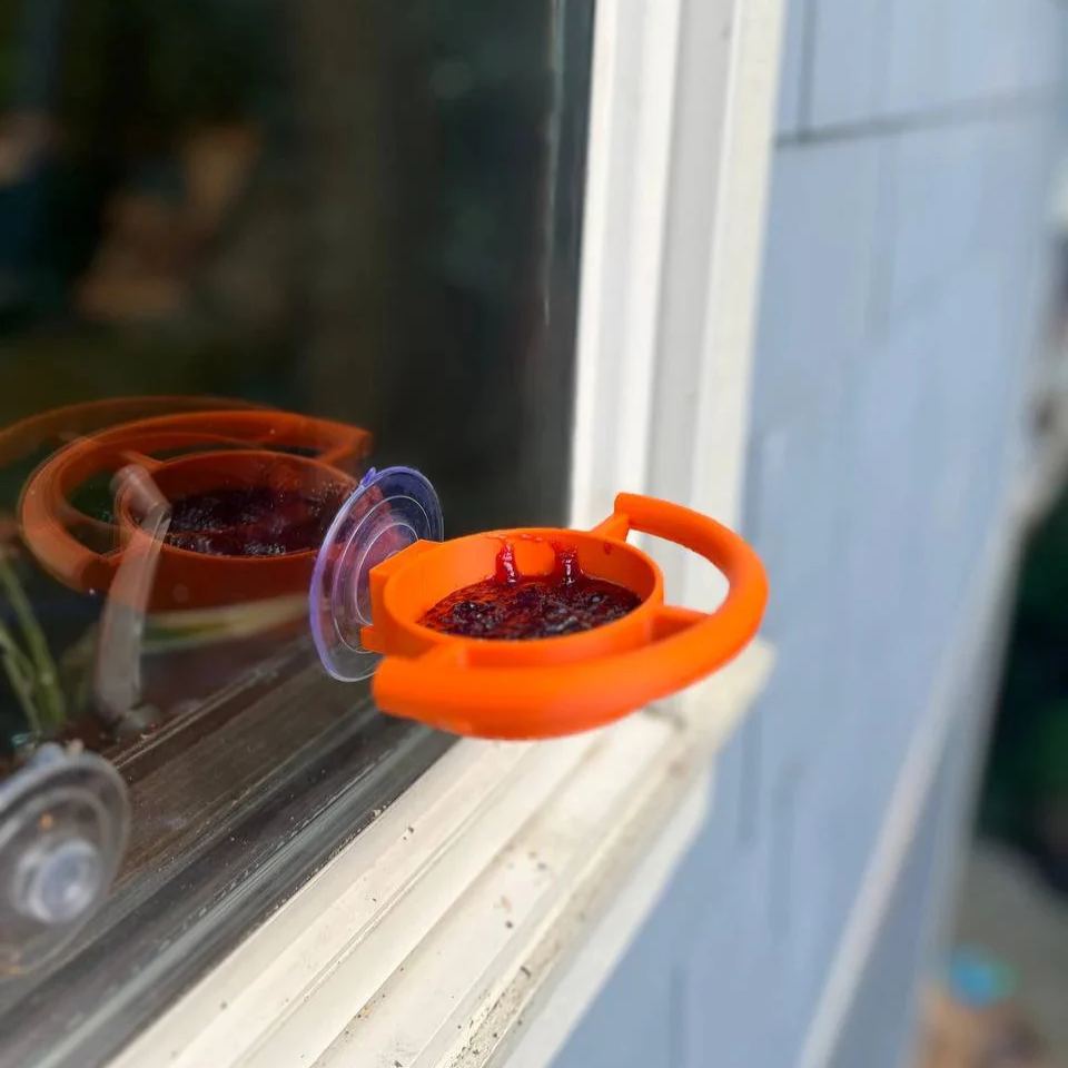 Bird Feeder Suction Cup Holder