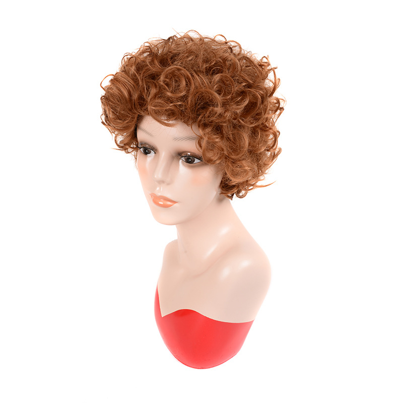 8cm Short Synthetic High Temperature Fiber Wig for Women Messy Curly Brown Color Netby