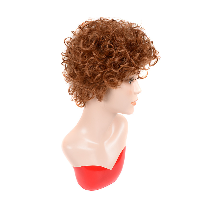 8cm Short Synthetic High Temperature Fiber Wig for Women Messy Curly Brown Color Netby