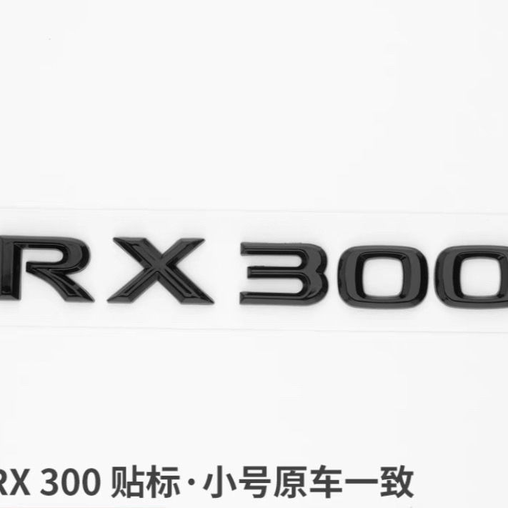Lexus ES200 ES250 IS26 ES350 RX350 Car Emblem Badge Netby