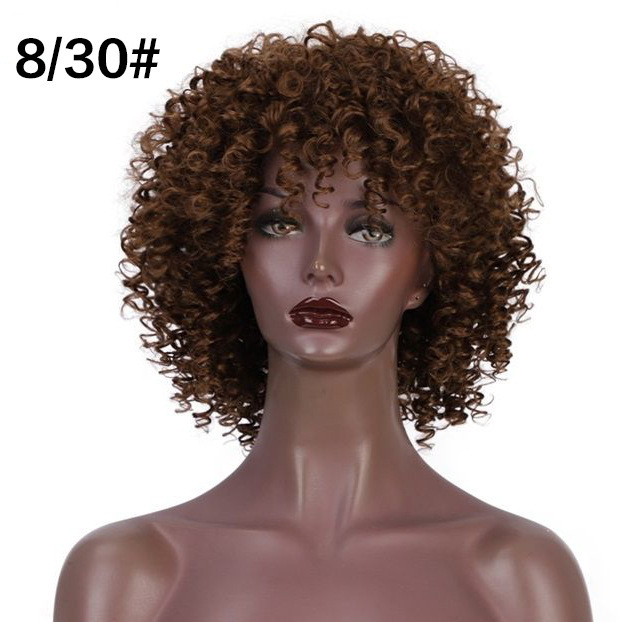 Synthetic Fiber High Temperature African Curly Afro Wig for Women Netby