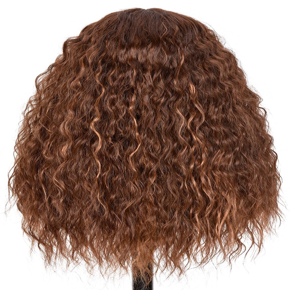 High Temperature Afro Curly Curly Synthetic Fiber lACE Wig for Women Breathable Netby