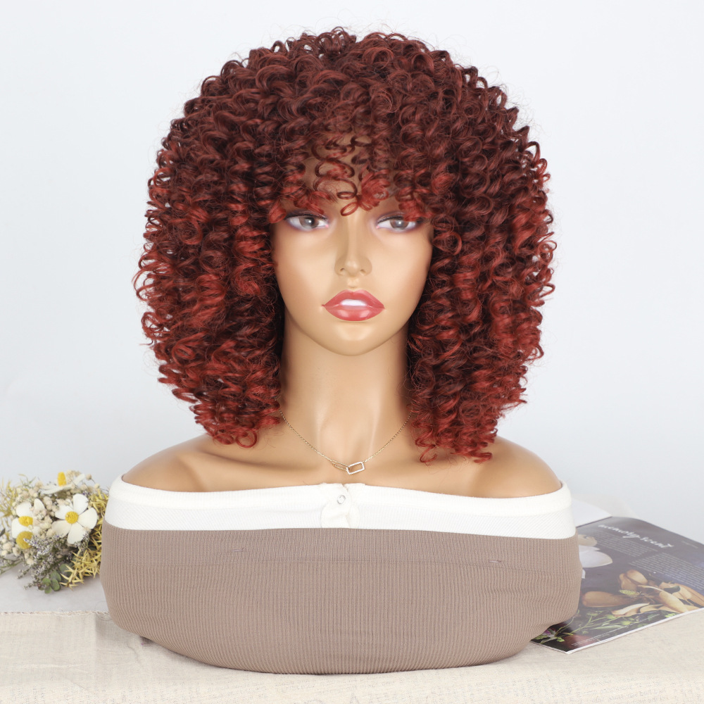 Synthetic Fiber High Temperature African Curly Afro Wig for Women Netby