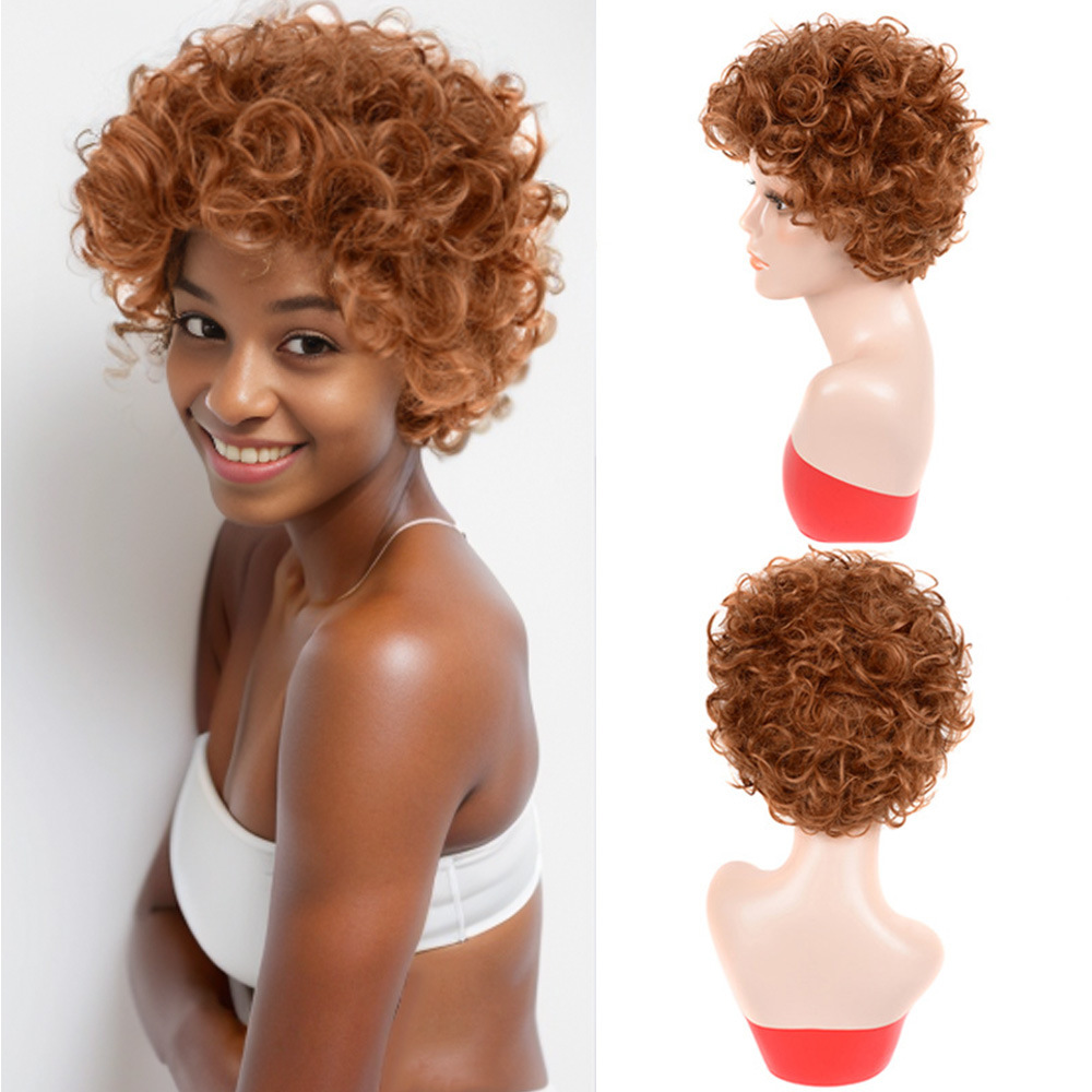 8cm Short Synthetic High Temperature Fiber Wig for Women Messy Curly Brown Color Netby