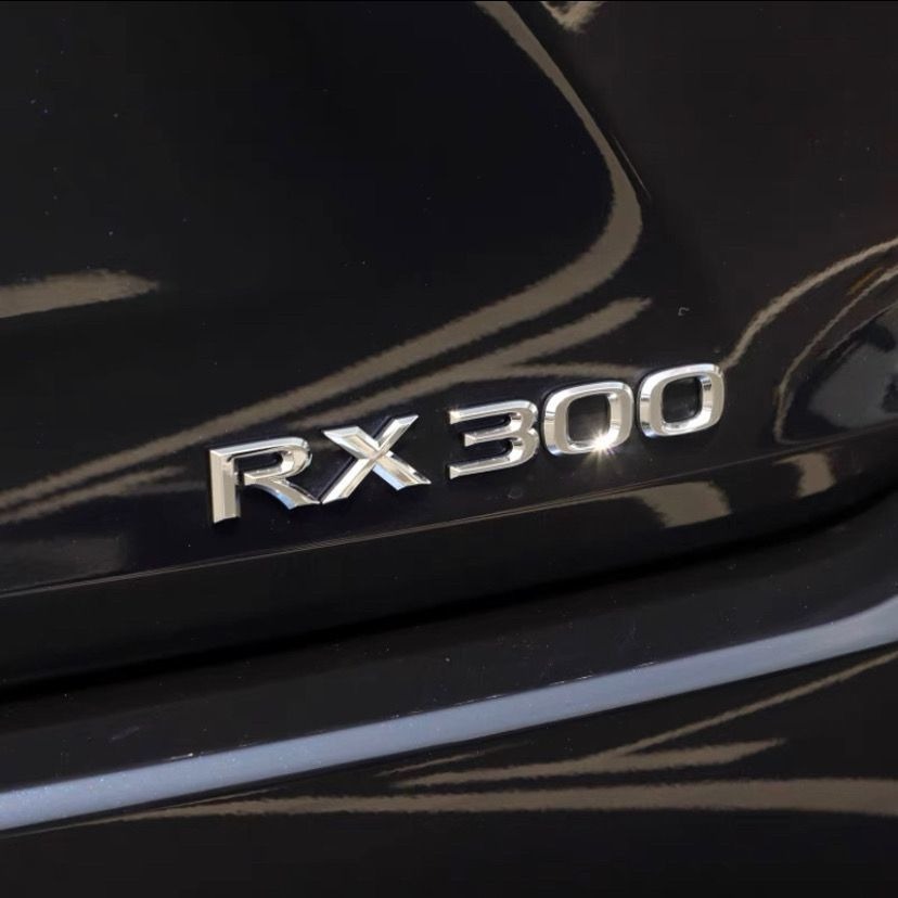 Lexus ES200 ES250 IS26 ES350 RX350 Car Emblem Badge Netby