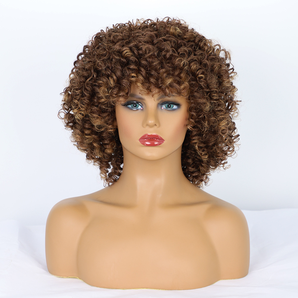 Synthetic Fiber High Temperature African Curly Afro Wig for Women Netby