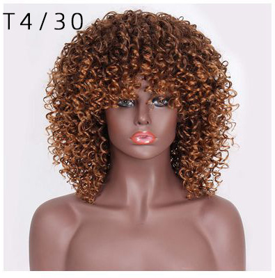 Synthetic Fiber High Temperature African Curly Afro Wig for Women Netby