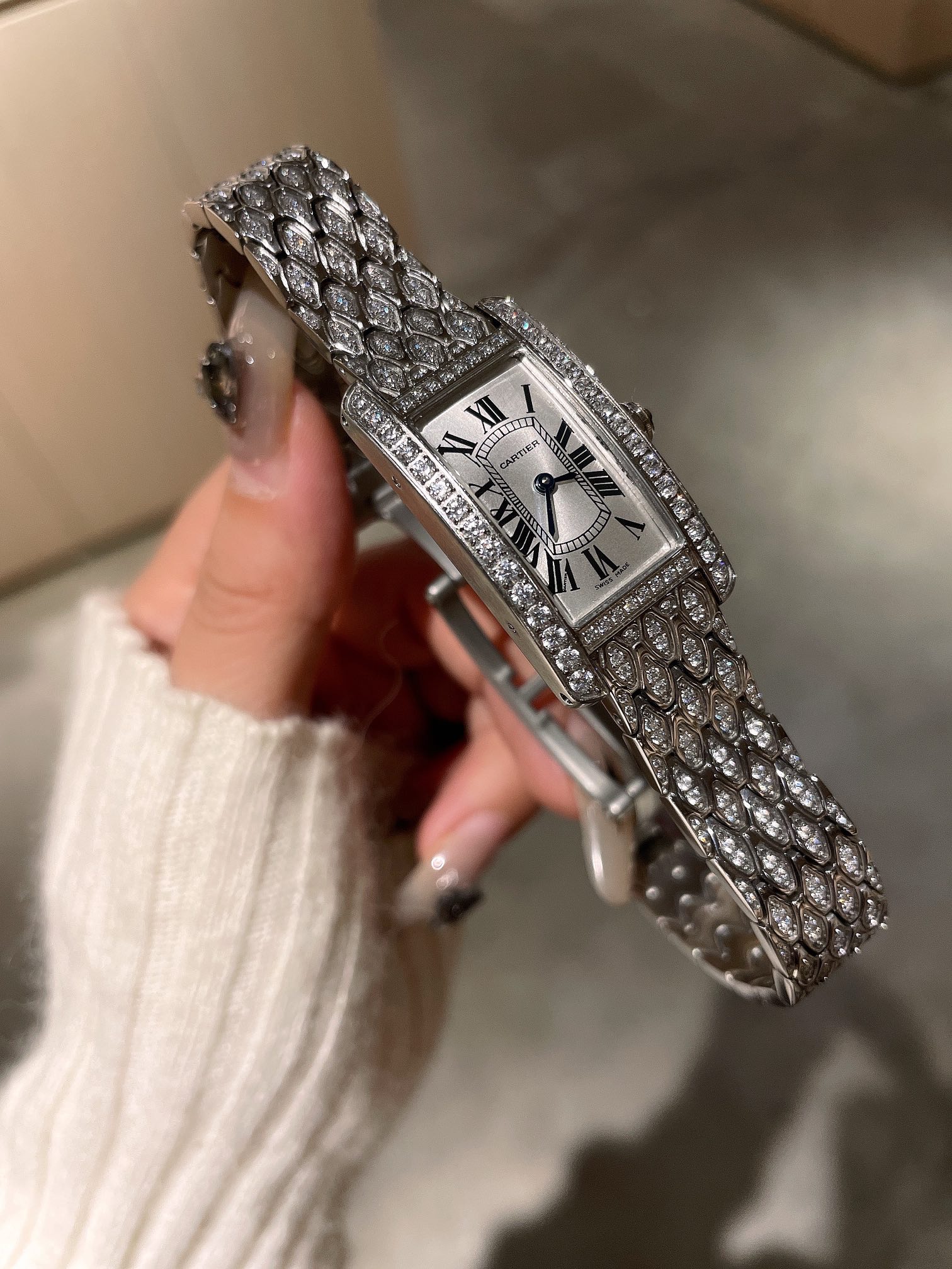 Cartier Wrist Quartz Watch Fisheye Glass Silver Color Stainless Steel Watch Band Full Diamond Netby