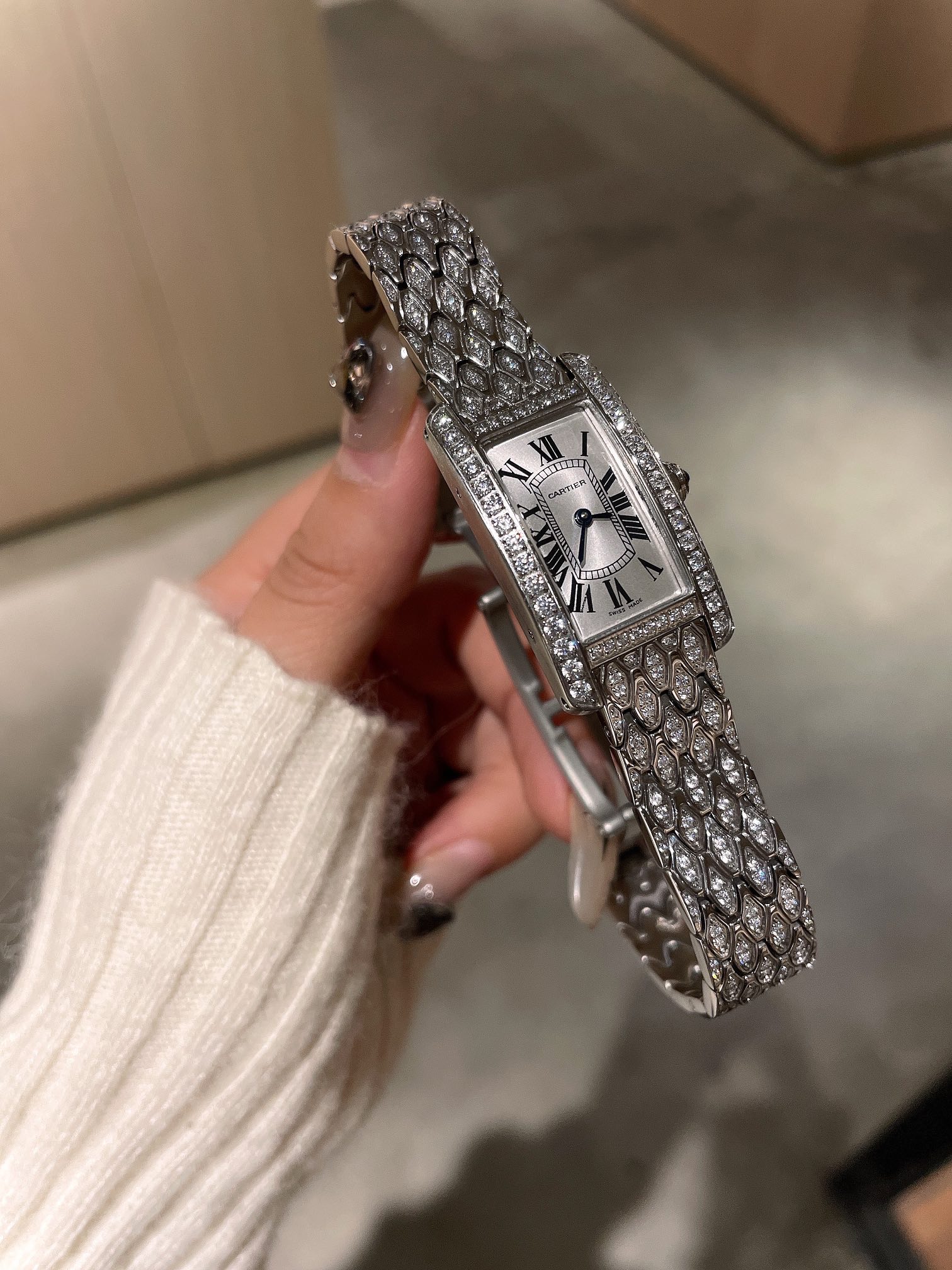 Cartier Wrist Quartz Watch Fisheye Glass Silver Color Stainless Steel Watch Band Full Diamond Netby