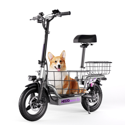 Hezzo T3 Electric Cargo Scooter- Compact, City-Friendly Commute Escooter with 500W Motor and 15Ah Quality Battery
