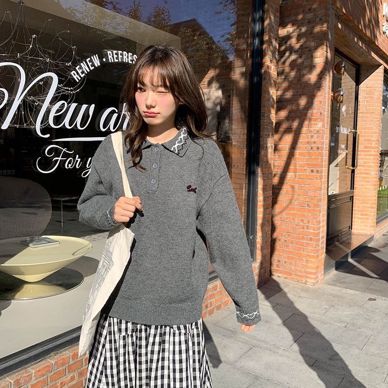 T295. SWEATER GRAY DOG