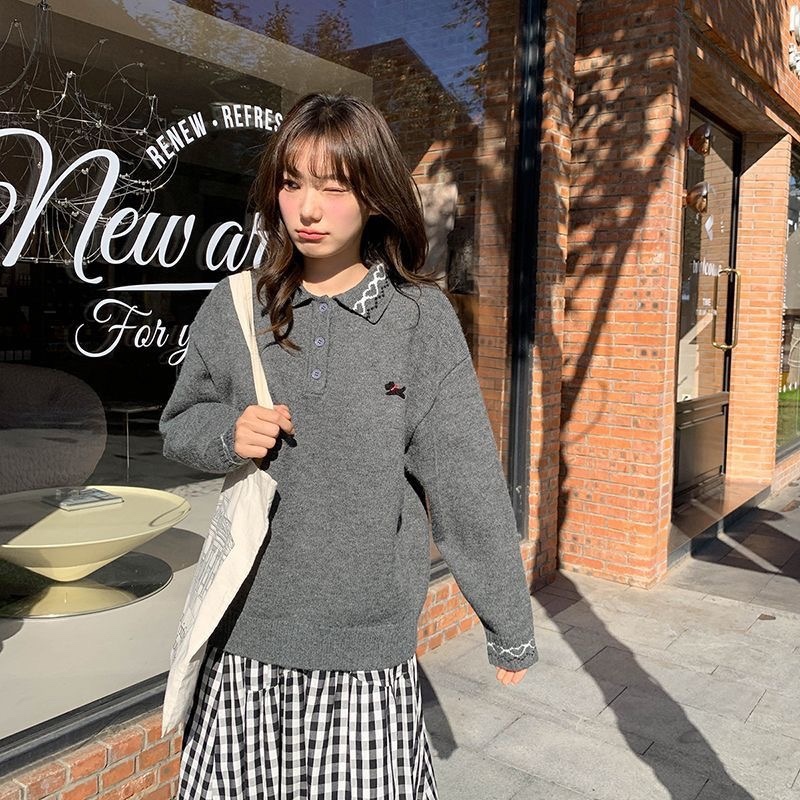 T295. SWEATER GRAY DOG