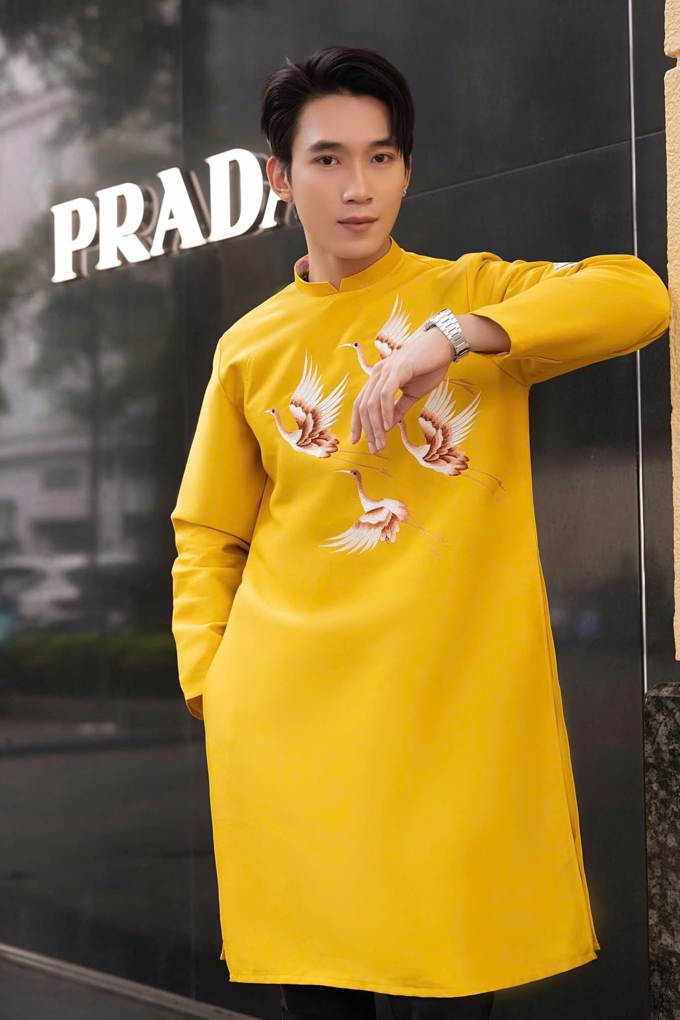 A379. AD NAM PHUNG HOANG VANG