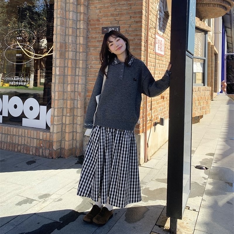 T295. SWEATER GRAY DOG