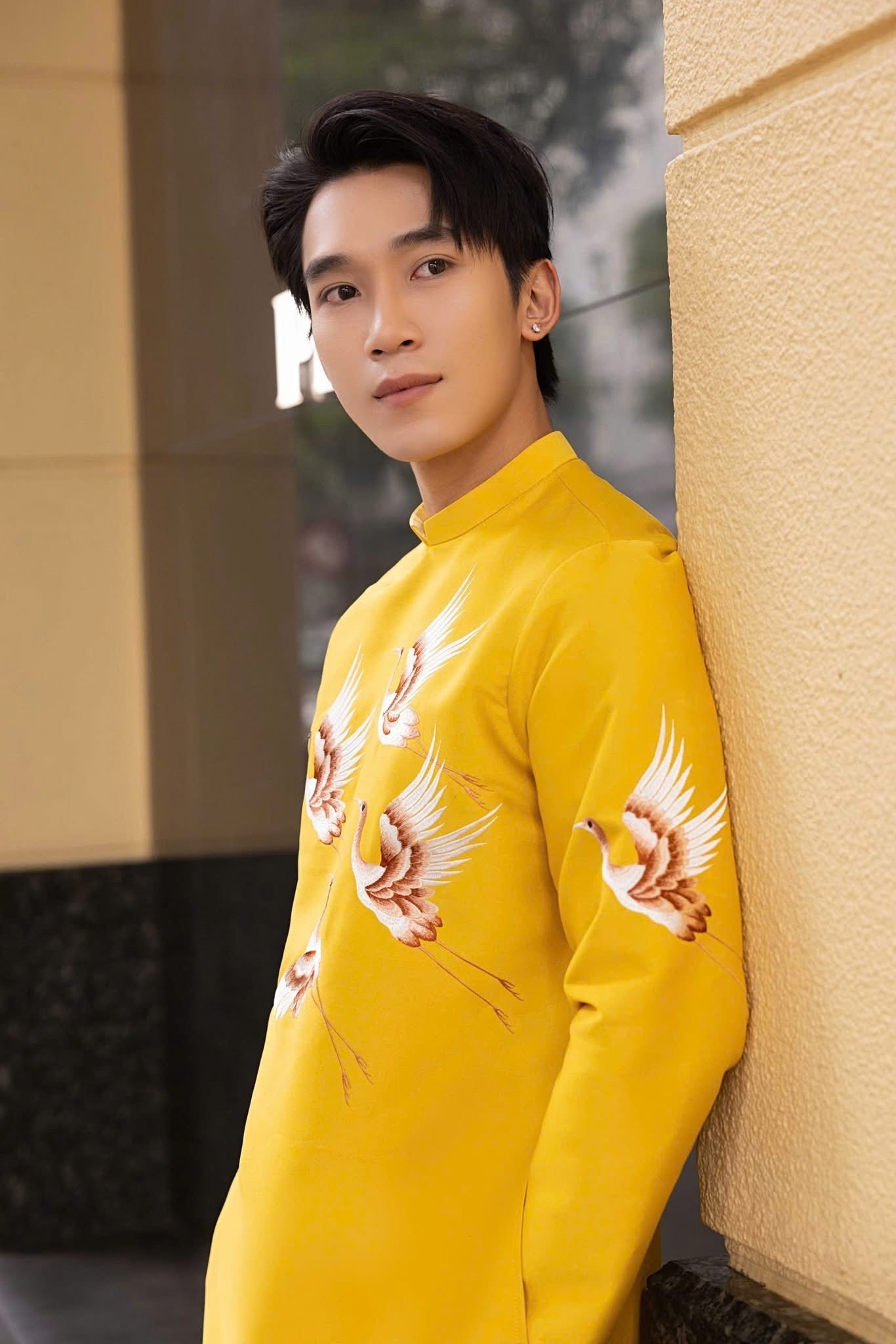 A379. AD NAM PHUNG HOANG VANG