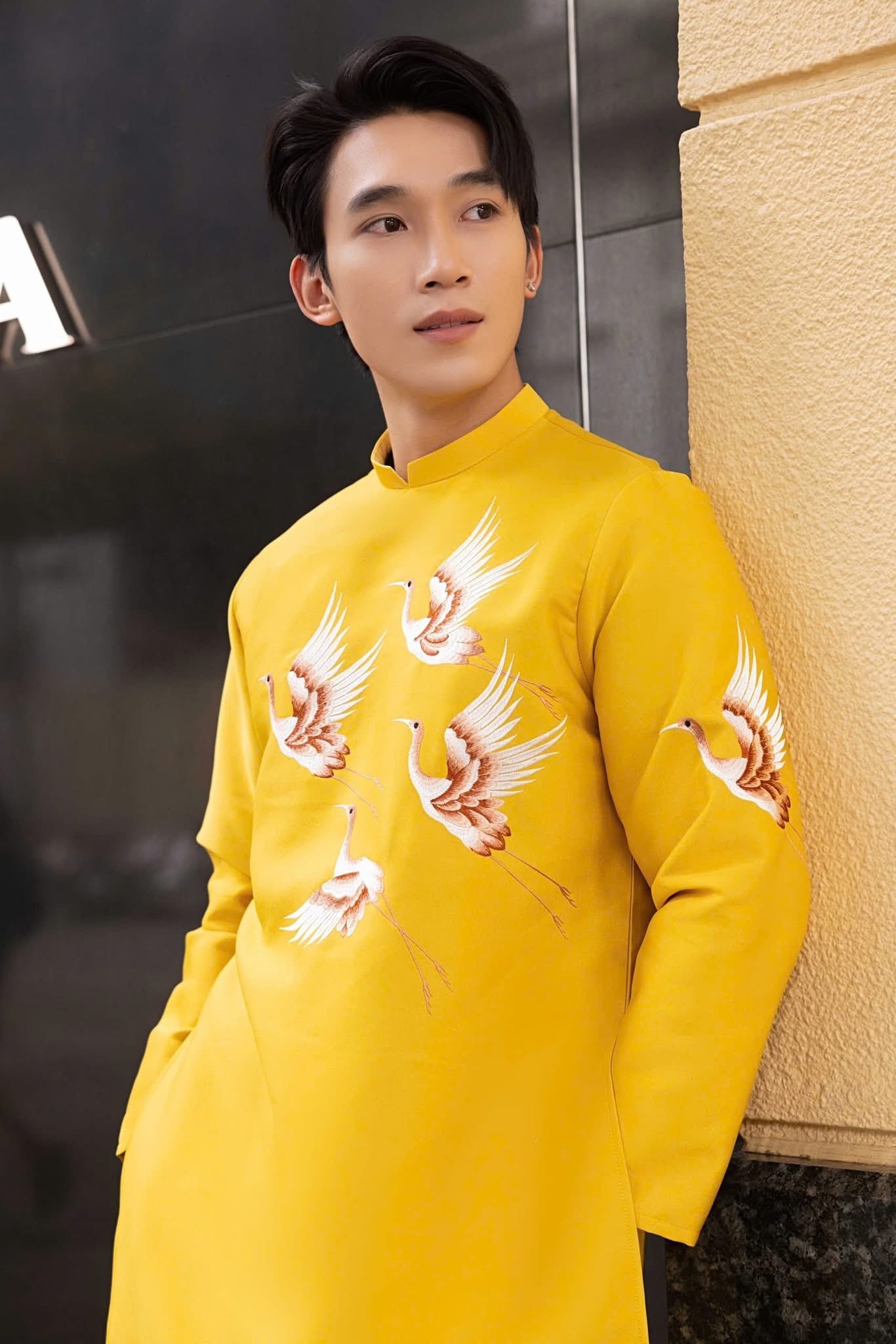 A379. AD NAM PHUNG HOANG VANG