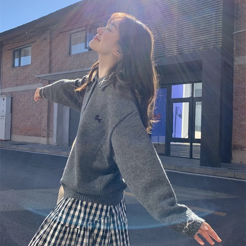 T295. SWEATER GRAY DOG