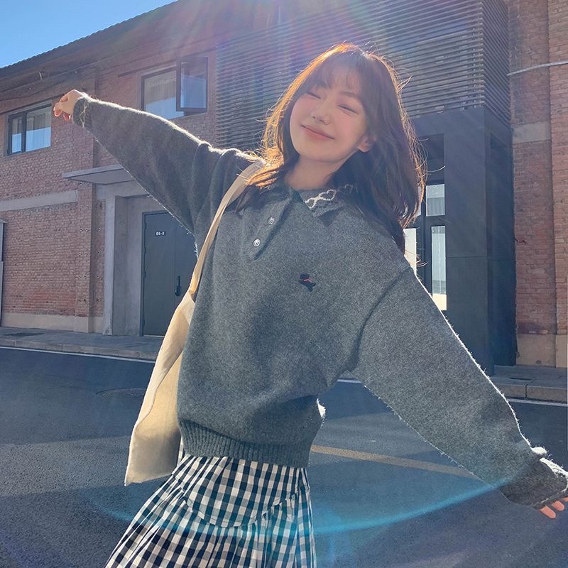 T295. SWEATER GRAY DOG