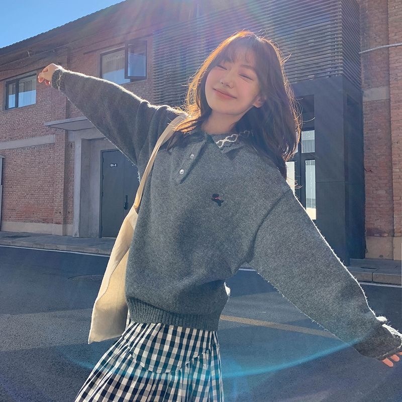 T295. SWEATER GRAY DOG