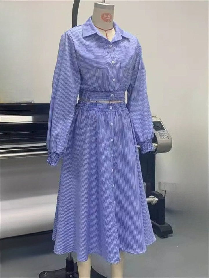 Summer Blue Striped Button Up Long Sleeve Cropped Top & Skirt Set