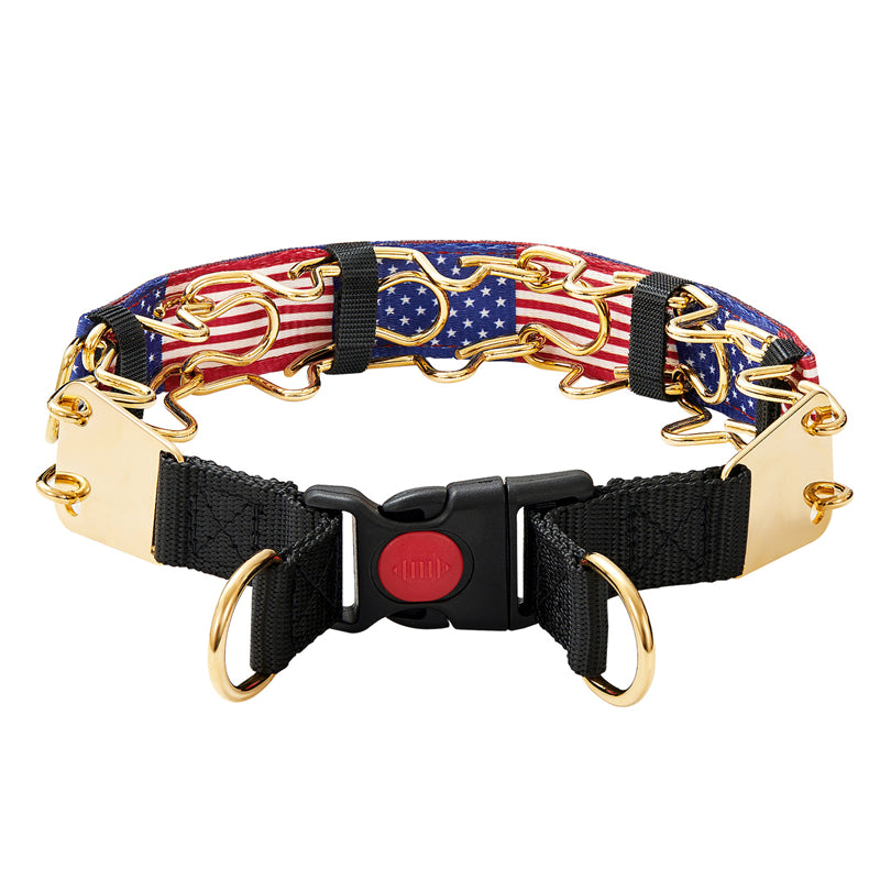 American Flag Dog Collar Gold Prong Collar for Dog