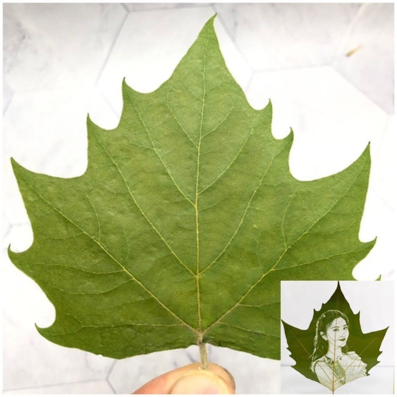 Leaf Carving Art, Personalized Pet Art