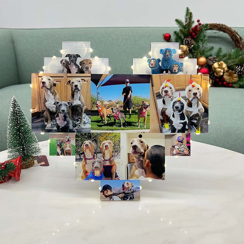 Custom Heart Shape Photo Collage Lamp with Photos For Pets