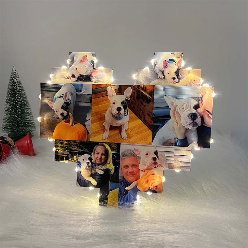 Custom Heart Shape Photo Collage Lamp with Photos For Pets