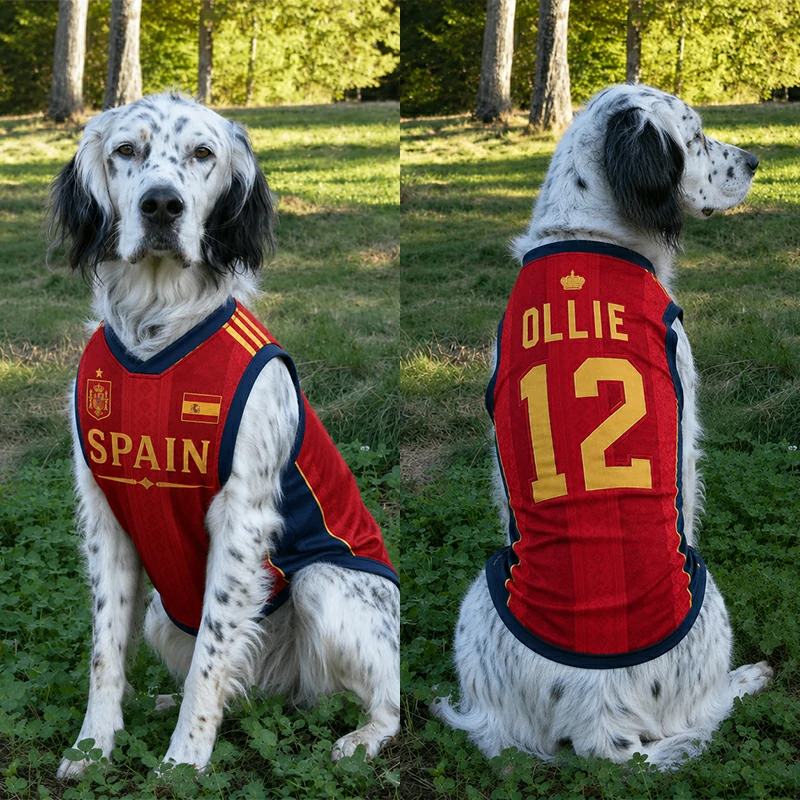 Custom World Cup Football Pet Jersey Collection