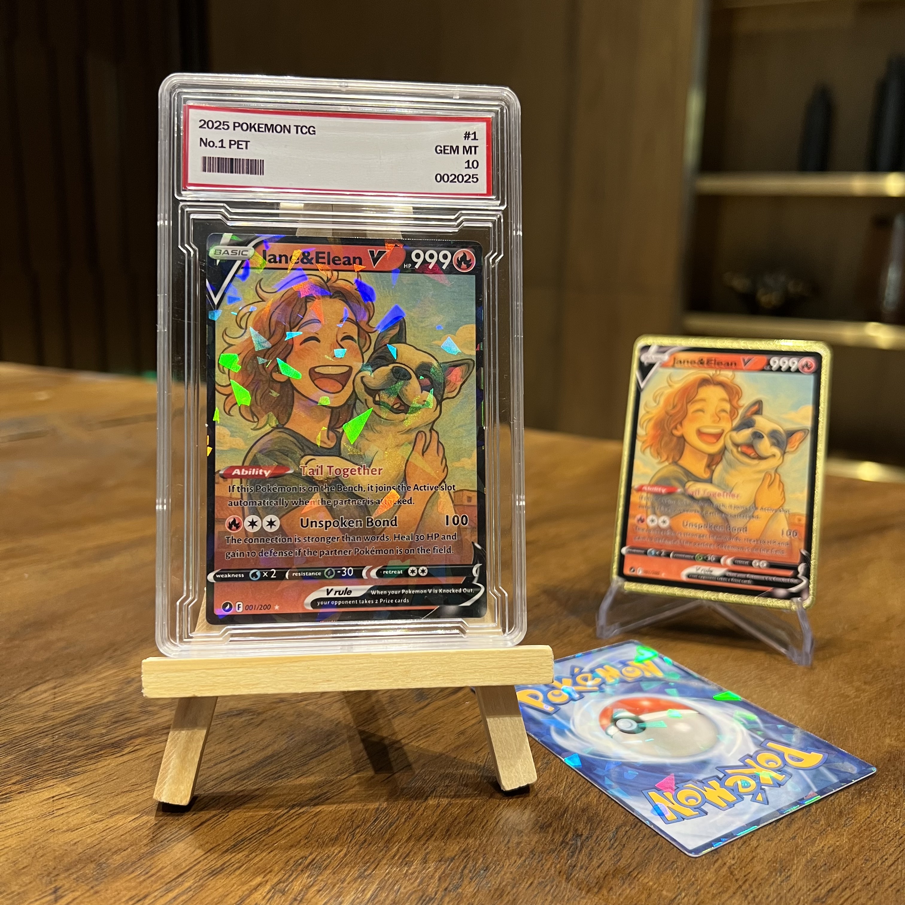 Custom Anime Pet&You Team  8 Types V Card